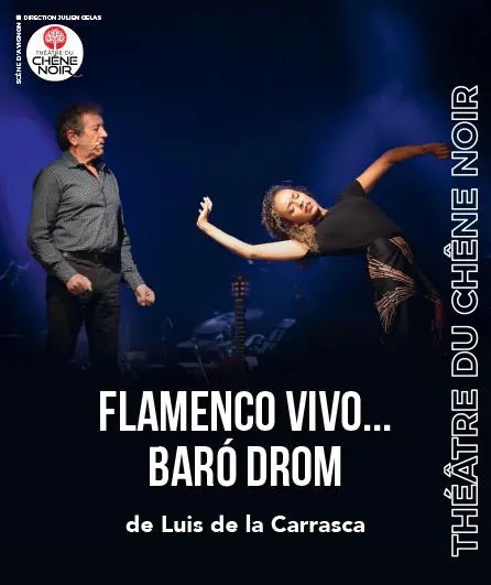 Flamenco Vivo... Baro Drom