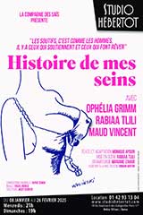 Histoire de mes seins