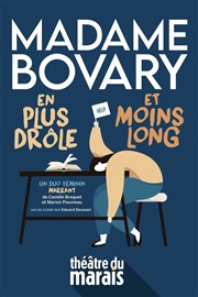 Madame Bovary en plus drôle et moins long